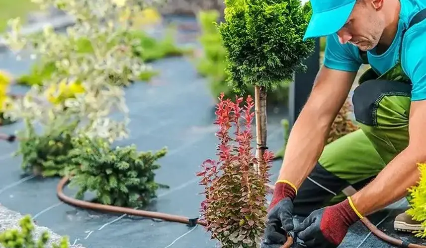 Garden landscaping maintenance ensures vibrant, thriving outdoor spaces.