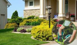 Residential landscaping showcasing a well-maintained front yard with green lawns, neatly trimmed bushes, and an inset image of a gardener at work.