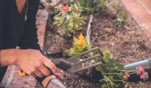 Close-up of hands gardening in a small garden bed, showcasing simple DIY landscape design and landscaping ideas around the house.