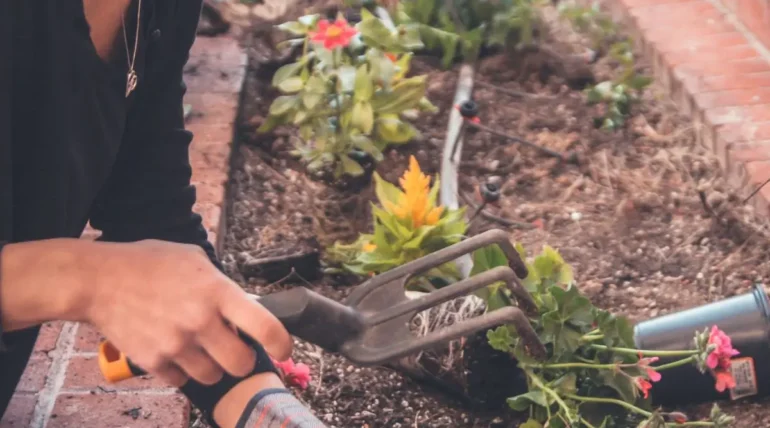 Close-up of hands gardening in a small garden bed, showcasing simple DIY landscape design and landscaping ideas around the house.