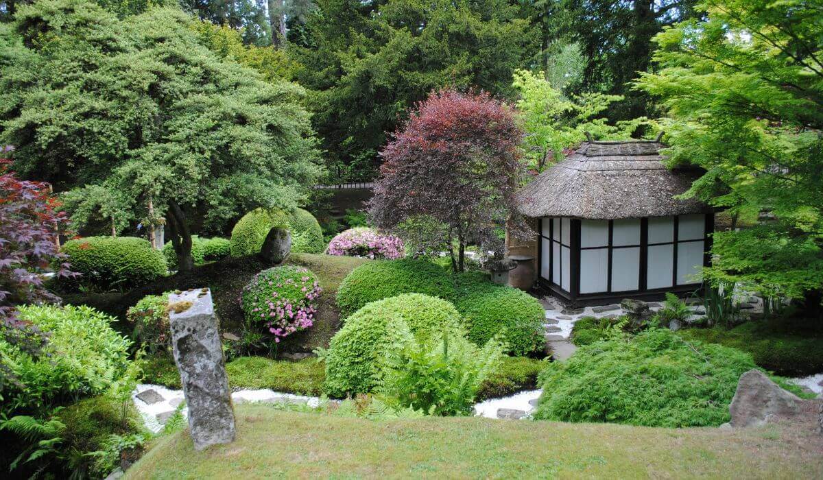 Serene garden with traditional Japanese design, featuring greenery and stone paths as part of landscaping pictures and styles of landscape design.