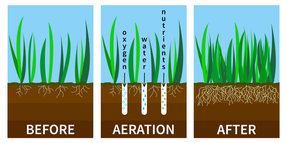 benefits of lawn aeration