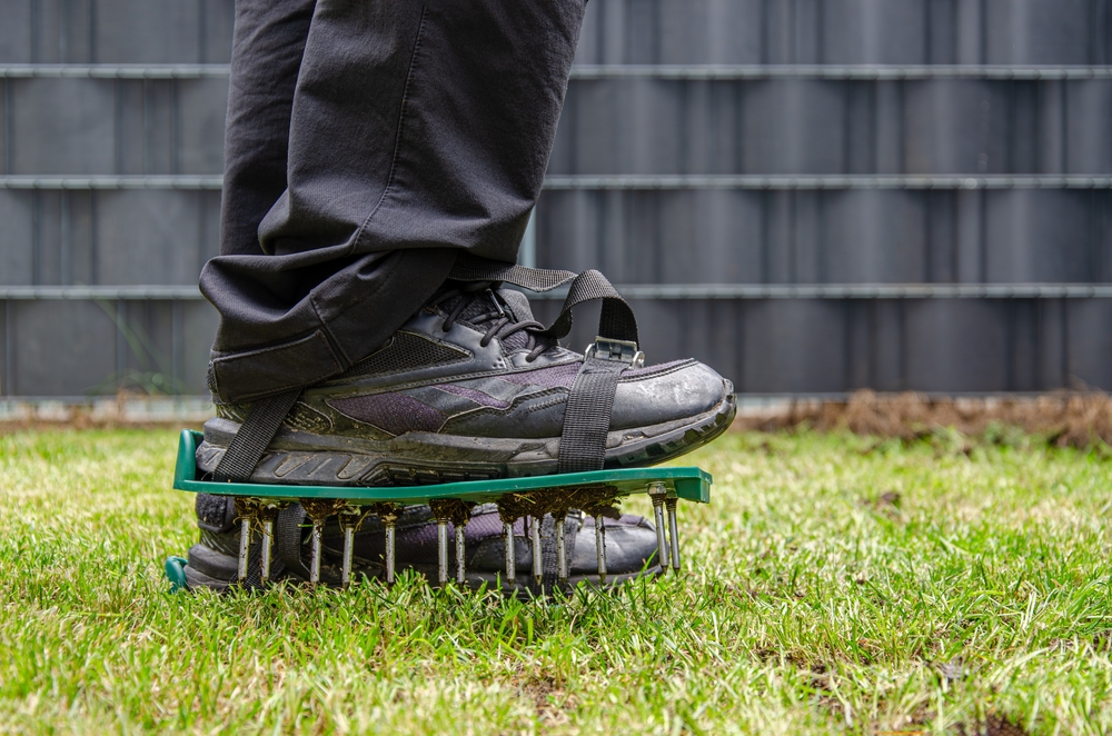 Effective lawn aeration techniques for improved soil health promoting deeper root growth and greener healthier grass.