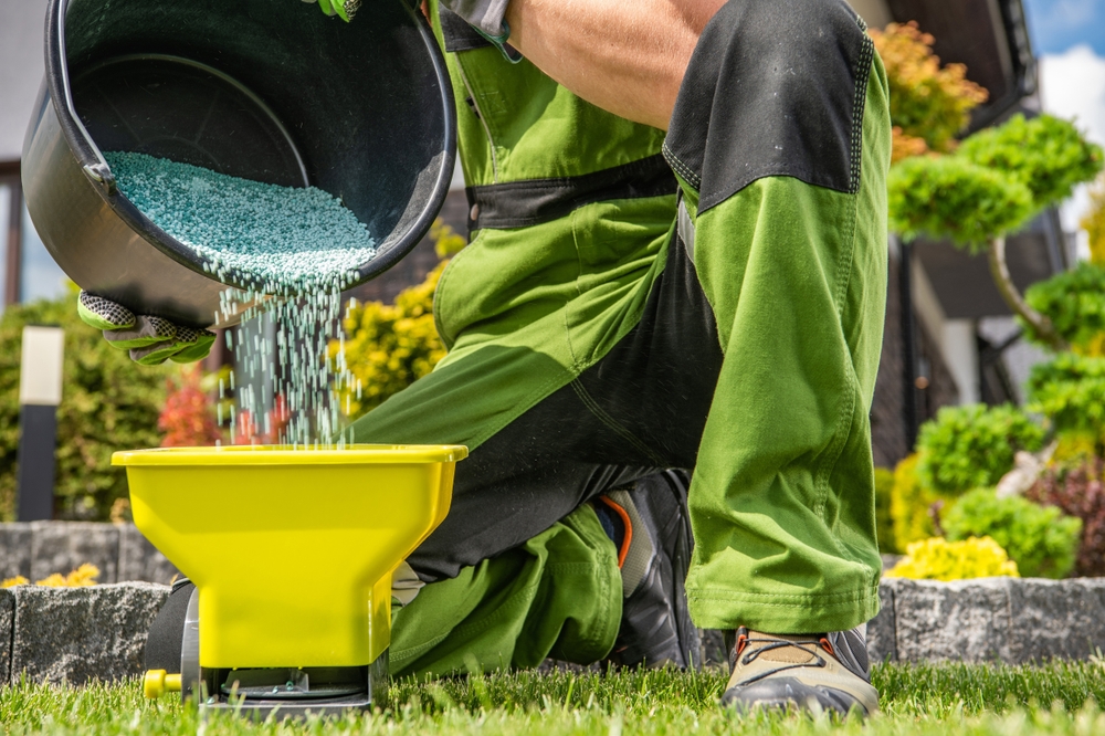 Lawn fertilization service in Austin, TX