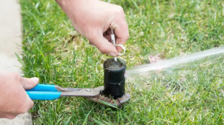 Close-up of a technician performing sprinkler maintenance on a lawn to ensure efficient irrigation system performance.