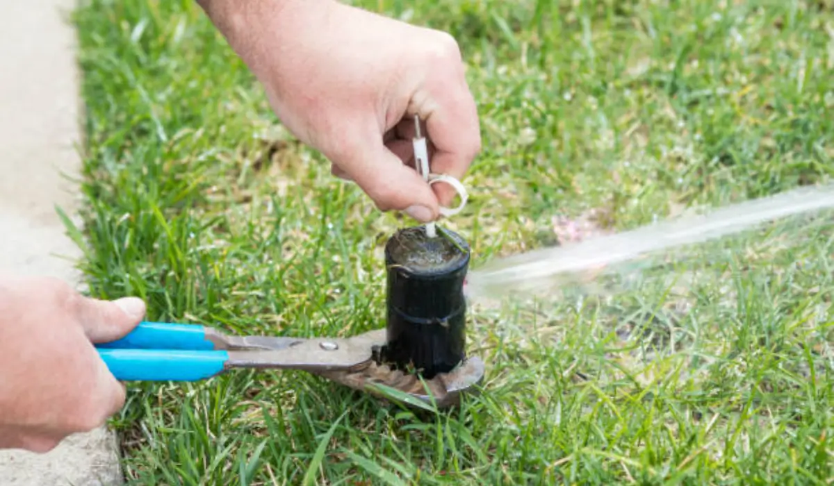 Close-up of a technician performing sprinkler maintenance on a lawn to ensure efficient irrigation system performance.