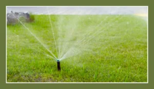 A sprinkler system watering a green, healthy lawn in Austin, showcasing sustainable methods to maintain a lush lawn during drought conditions.