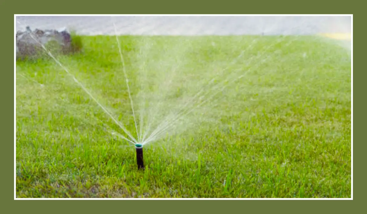 A sprinkler system watering a green, healthy lawn in Austin, showcasing sustainable methods to maintain a lush lawn during drought conditions.