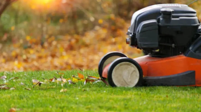 Red and black lawn mower cutting green grass with scattered autumn leaves, demonstrating seasonal lawn care maintenance.