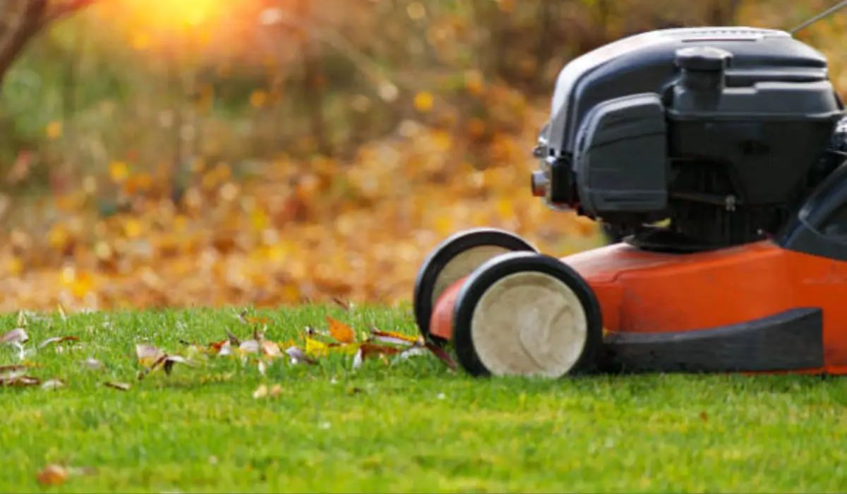 Red and black lawn mower cutting green grass with scattered autumn leaves, demonstrating seasonal lawn care maintenance.