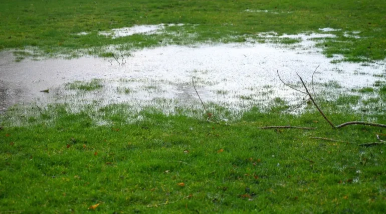Soggy backyard lawn with standing water after rain due to poor lawn drainage in Austin, Texas.