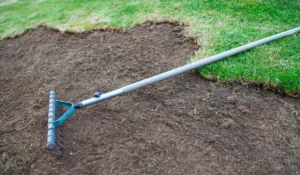 Lawn leveling process on clay soils in Austin using a landscaping rake for better drainage and healthy grass growth.
