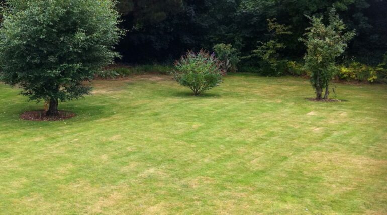 Uneven backyard lawn in Austin showing patchy grass and stressed turf caused by compacted soil beneath the surface.