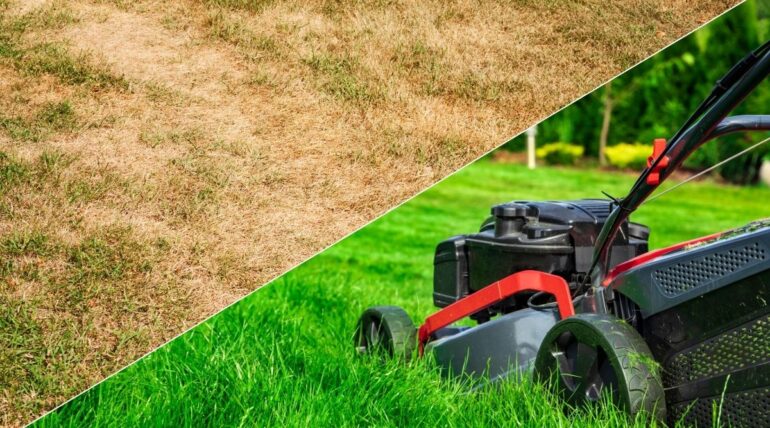 Split image showing the results of a failed DIY lawn leveling attempt above with dry, uneven grass, and a healthy, professionally leveled lawn below with a mower.