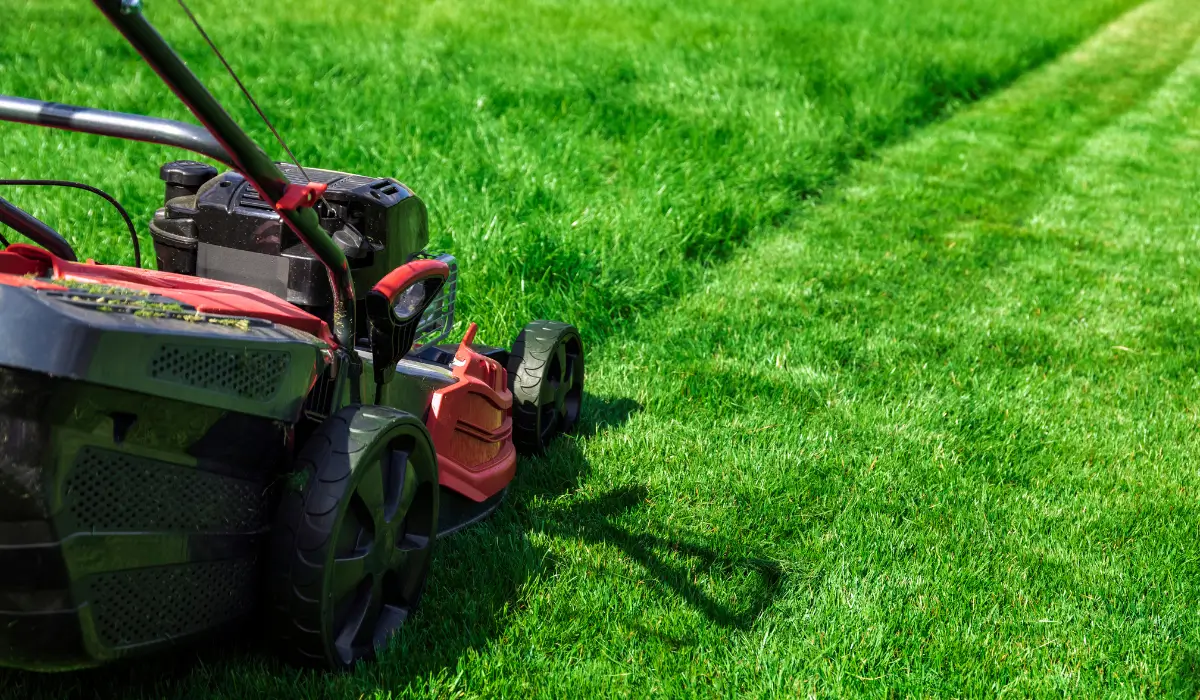 Spring lawn revival lawn mower cutting lush green residential grass improving turf health appearance and growth.