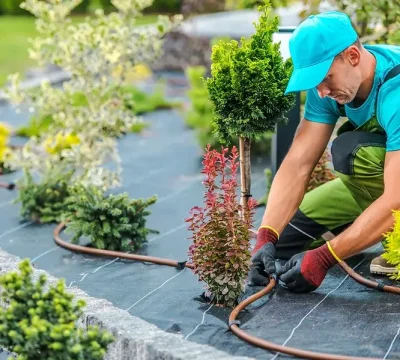 Person fixing the irrigation system in garden